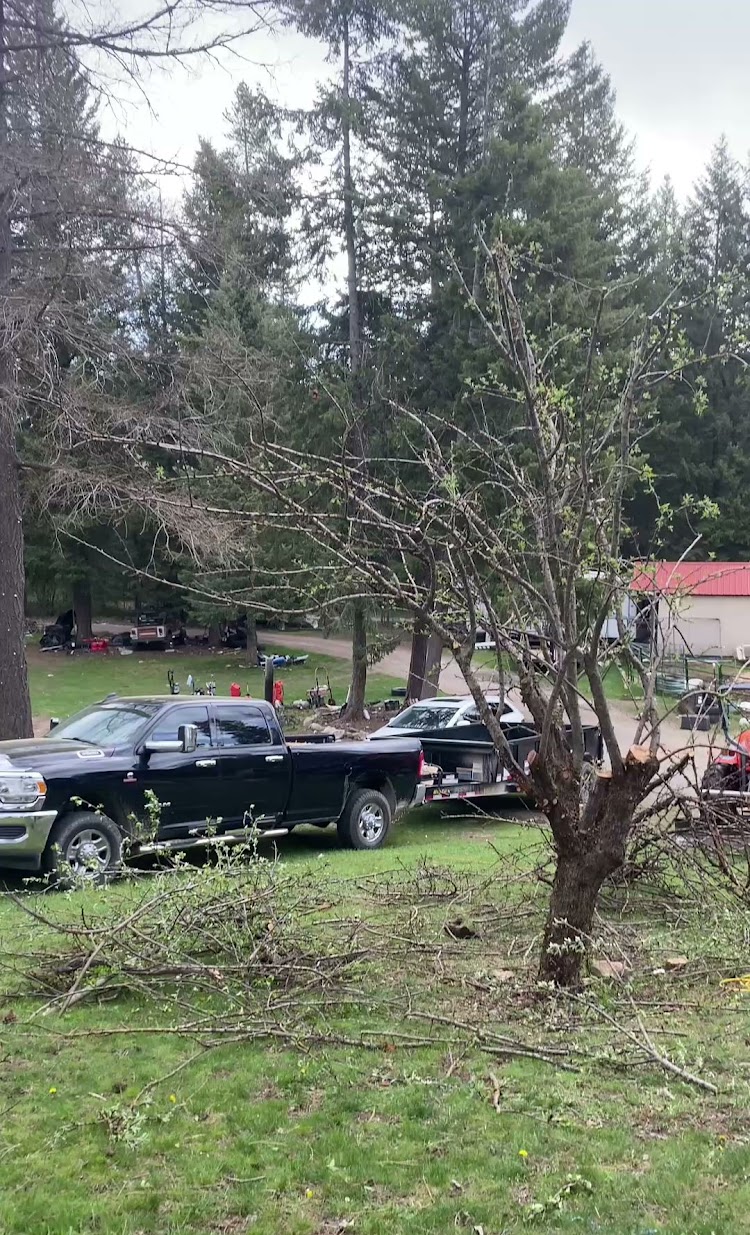 Storm damage cleanup by The Tree Clique in Post Falls, ID